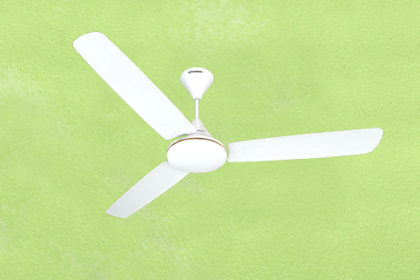 Ceiling Fan of EG
