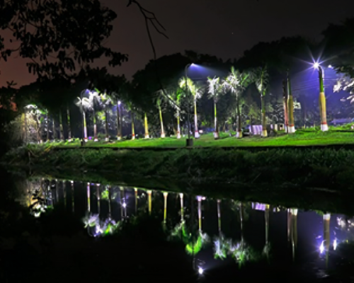 Street Light