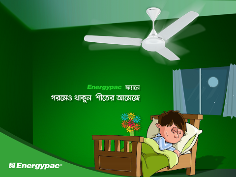 EELL Ceiling Fan